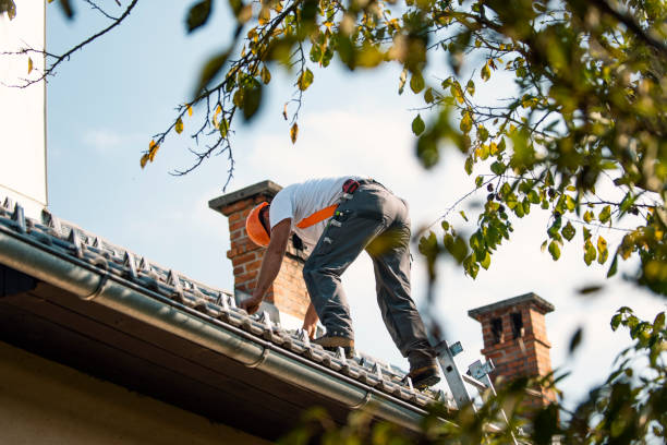 Roof Waterproofing Services in Jackson, CA